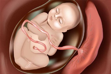 Best stem cell service